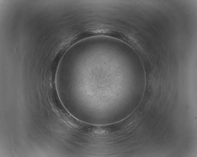 X0000078880547200611201413