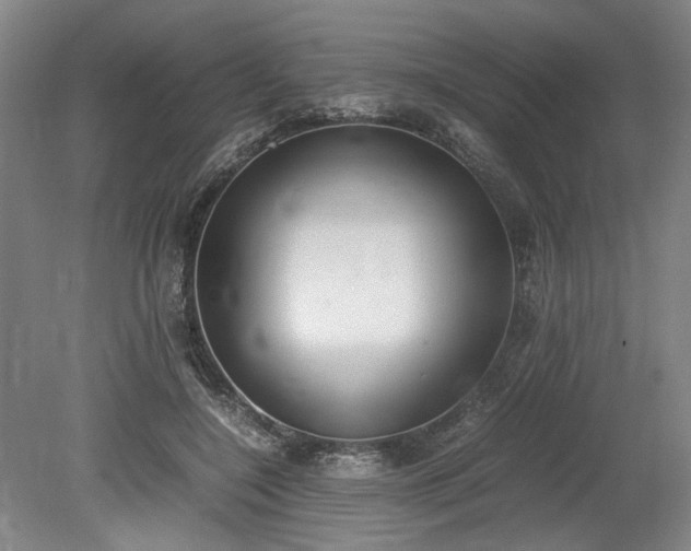 X0000078880548200611201413