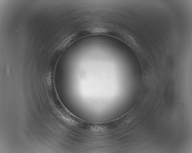 X0000078880549200611201413