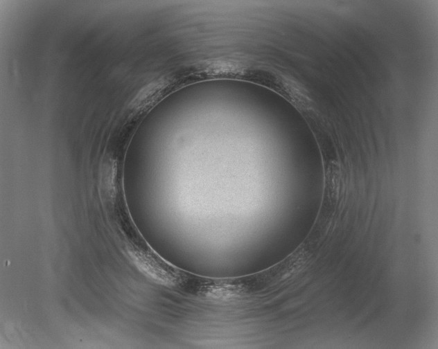X0000078880550200611201413