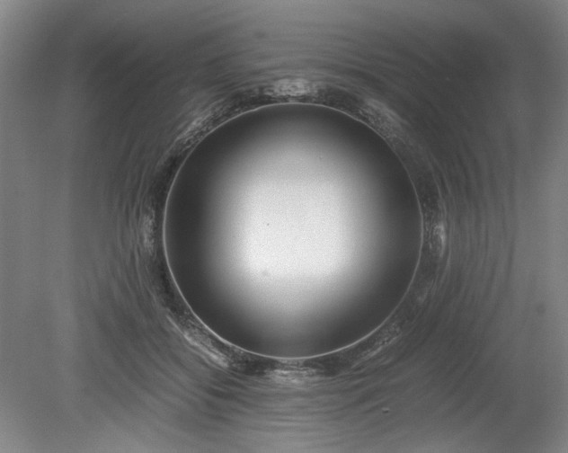 X0000078880556200611201413
