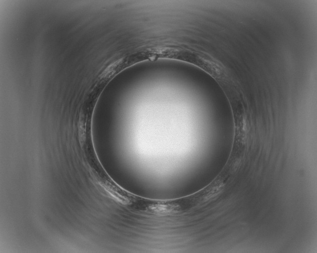 X0000078880558200611201413