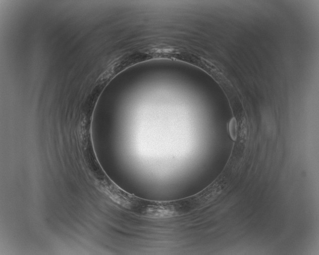 X0000078880559200611201413