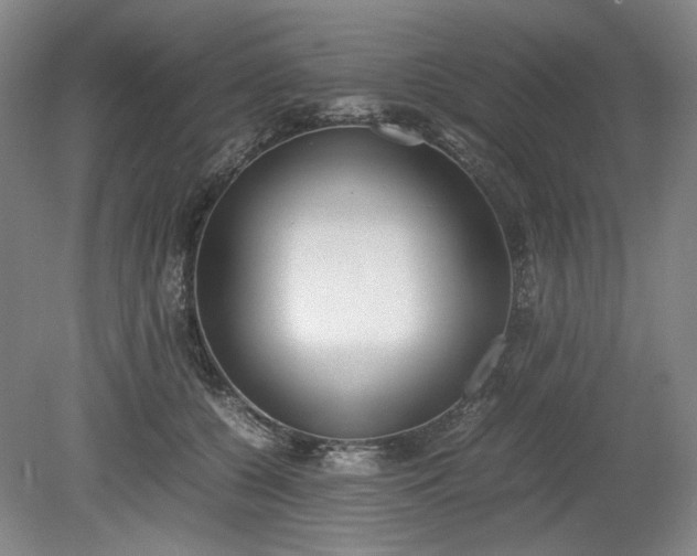 X0000078880560200611201413