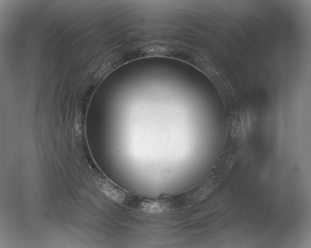 X0000078880561200611201413