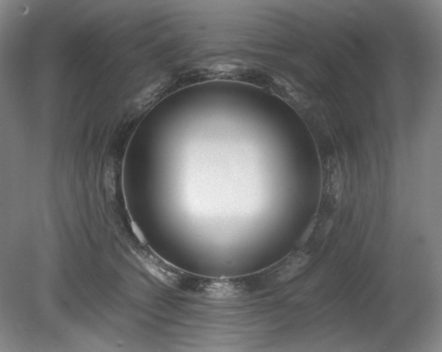 X0000078880562200611201413