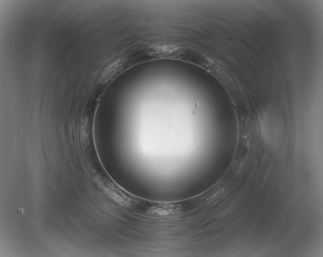 X0000078880563200611201413