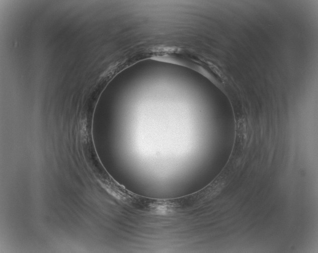 X0000078880564200611201413