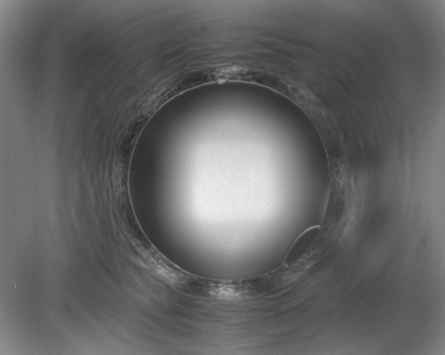 X0000078880565200611201413
