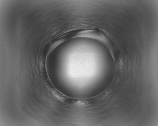 X0000078880566200611201414