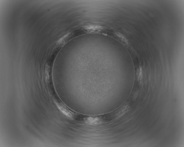 X0000078880570200611201414