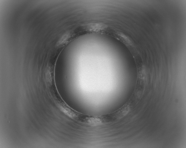X0000078880572200611201414
