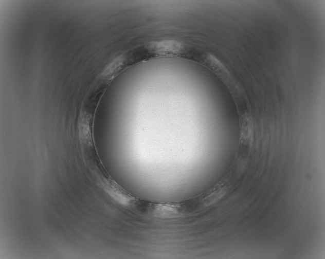 X0000078880573200611201414