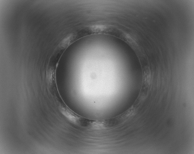X0000078880574200611201414