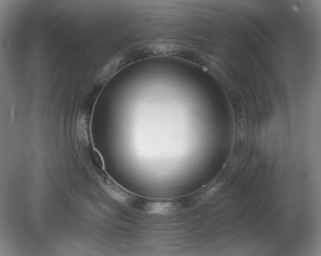 X0000078880575200611201414