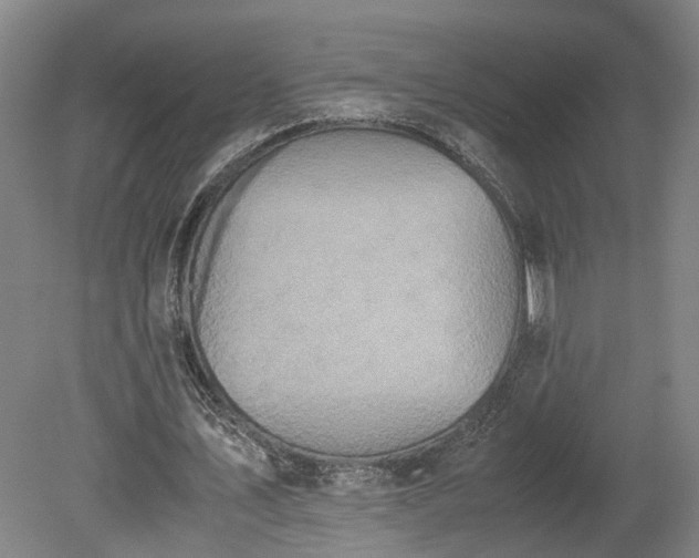 X0000078880579200611201413