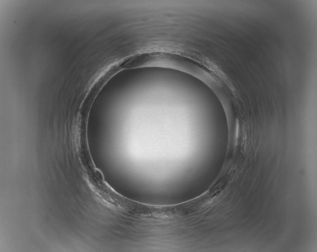 X0000078880580200611201413