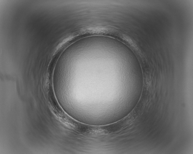 X0000078880583200611201413