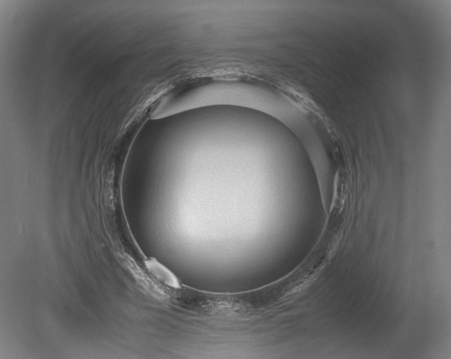 X0000078880585200611201413