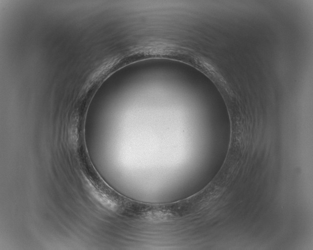 X0000078880586200611201413