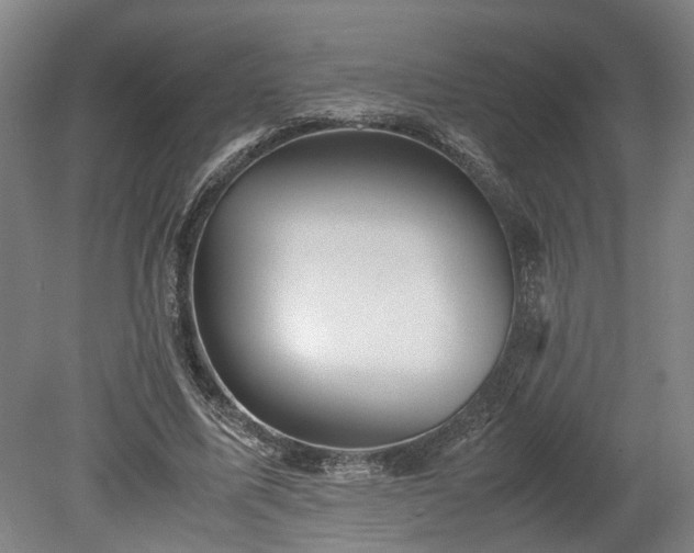 X0000078880587200611201413