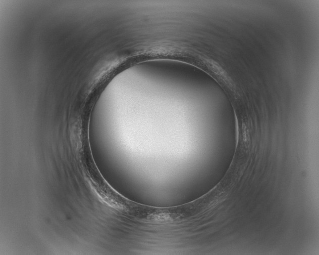 X0000078880588200611201413