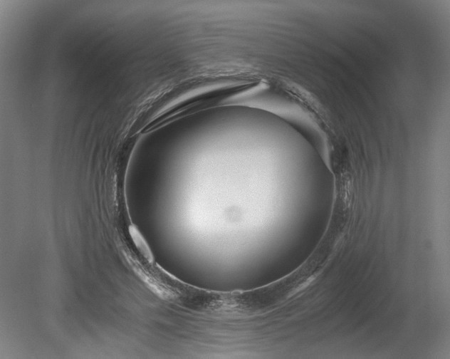 X0000078880589200611201413