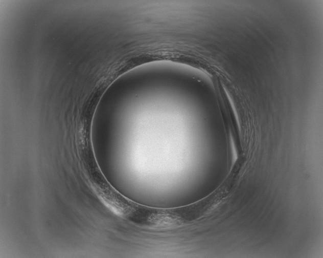 X0000078880597200611201413