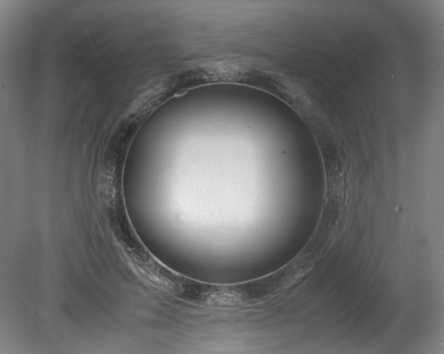 X0000078880599200611201413