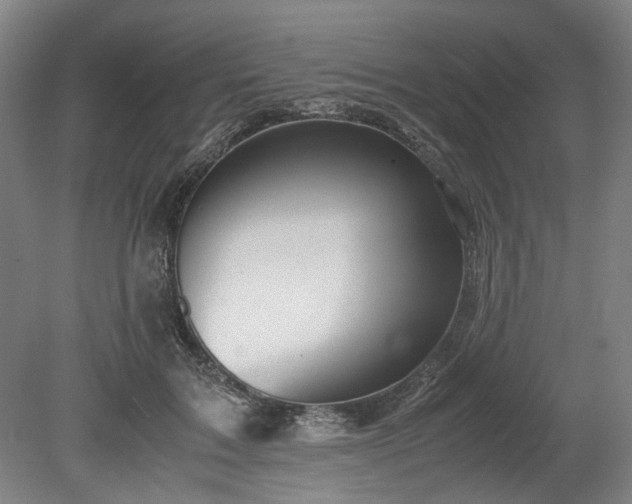 X0000078880603200611201412