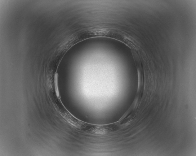 X0000078880604200611201412