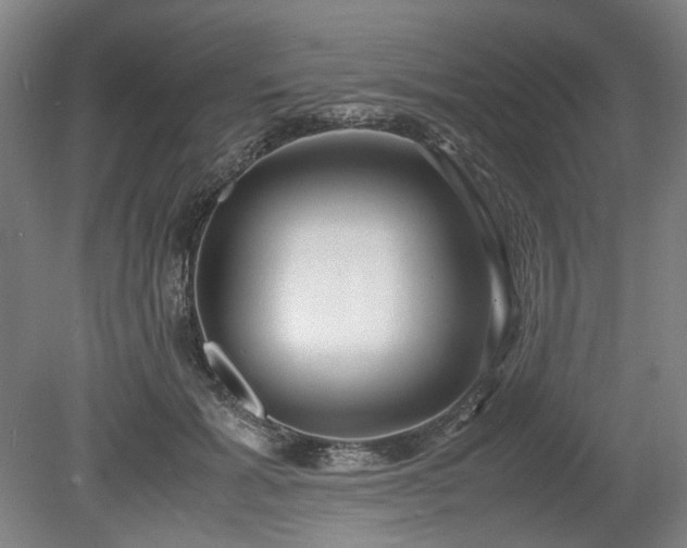 X0000078880605200611201412