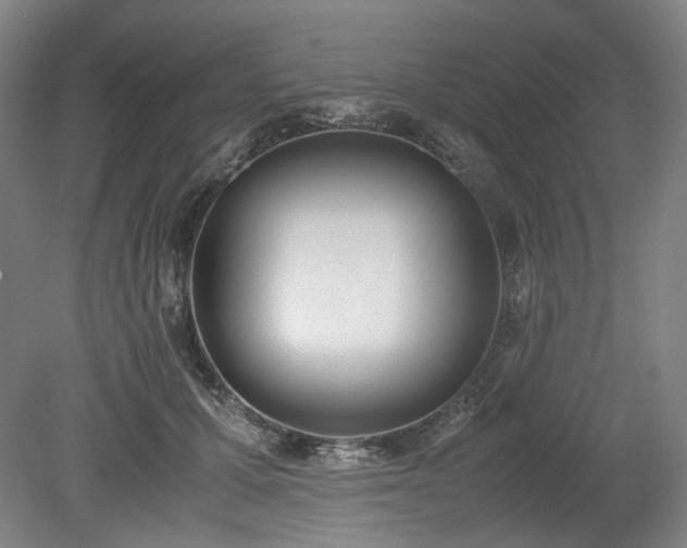 X0000078880607200611201412