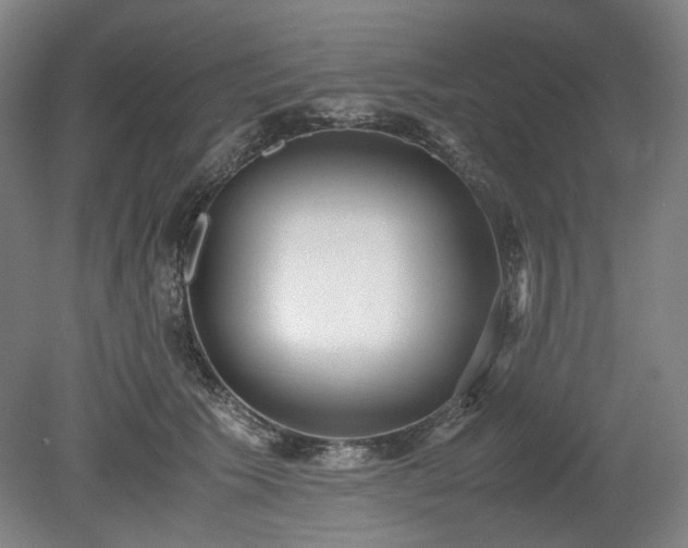 X0000078880609200611201412