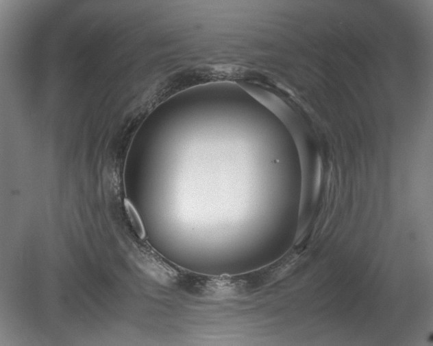 X0000078880613200611201412
