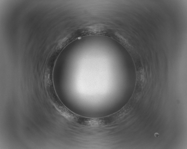 X0000078880615200611201412