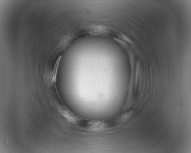 X0000078880621200611201412