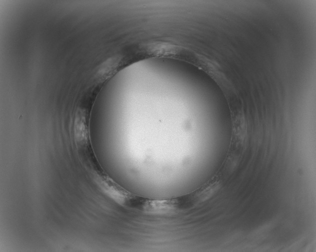X0000078880622200611201412