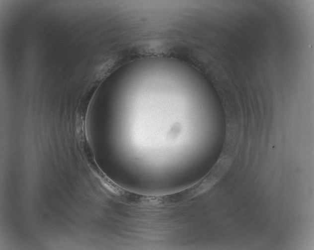X0000078880624200611201412