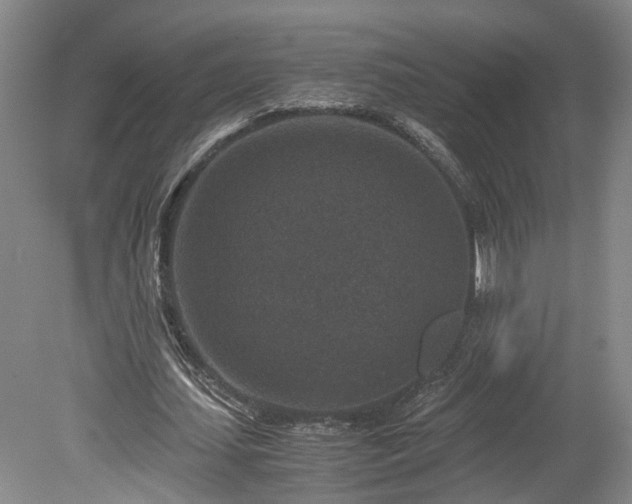 X0000078880627200611201411