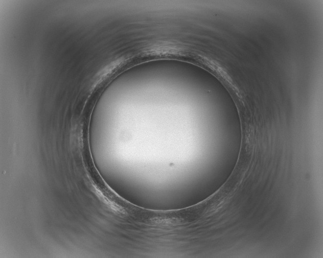 X0000078880629200611201411