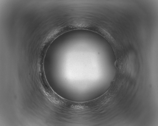X0000078880635200611201411