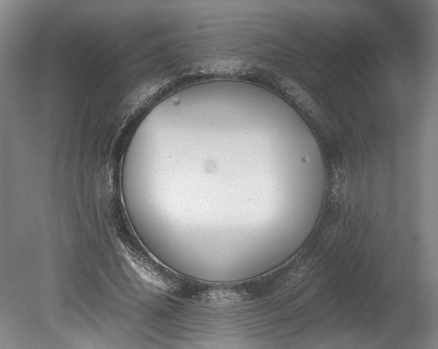 X0000078880636200611201411