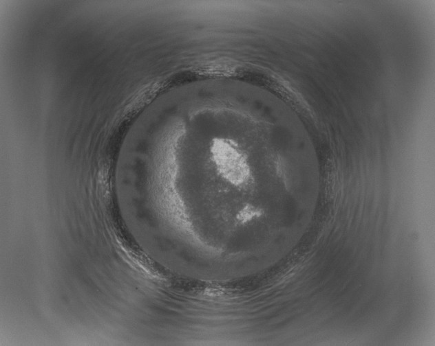 X0000078880641200611201412