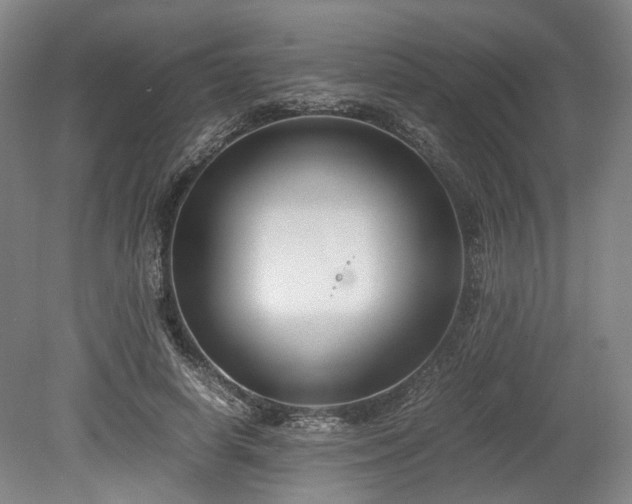 X0000078880642200611201412