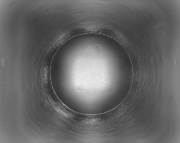 X0000078880646200611201412