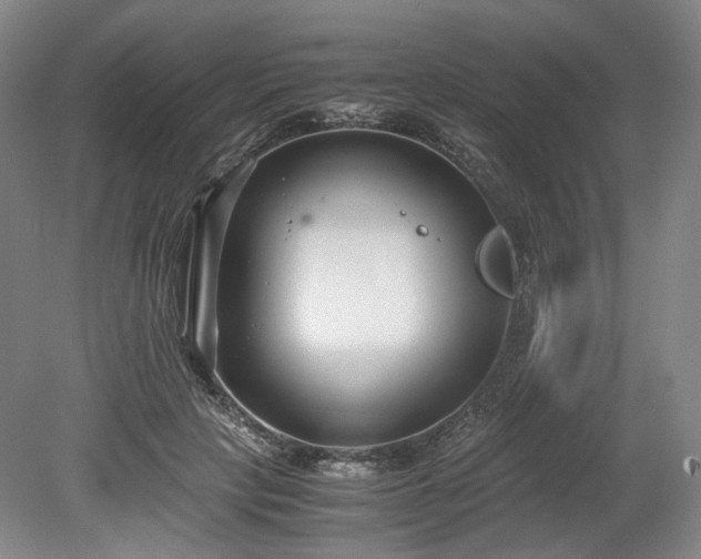 X0000078880649200611201412