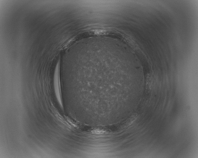 X0000078880650200611201412