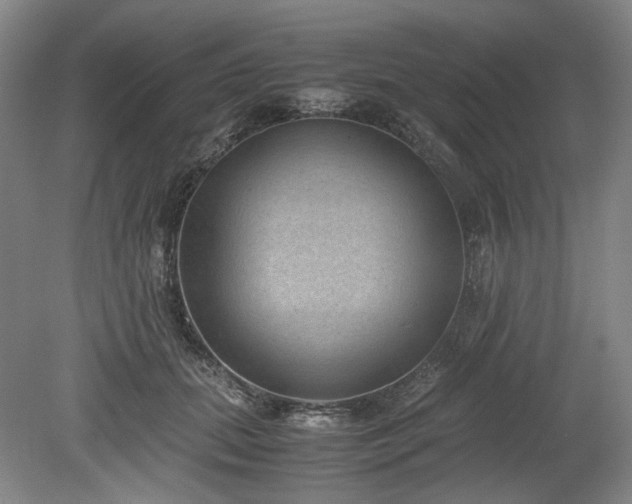 X0000078880655200611201412