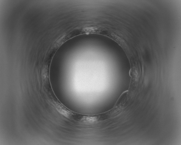 X0000078880665200611201412